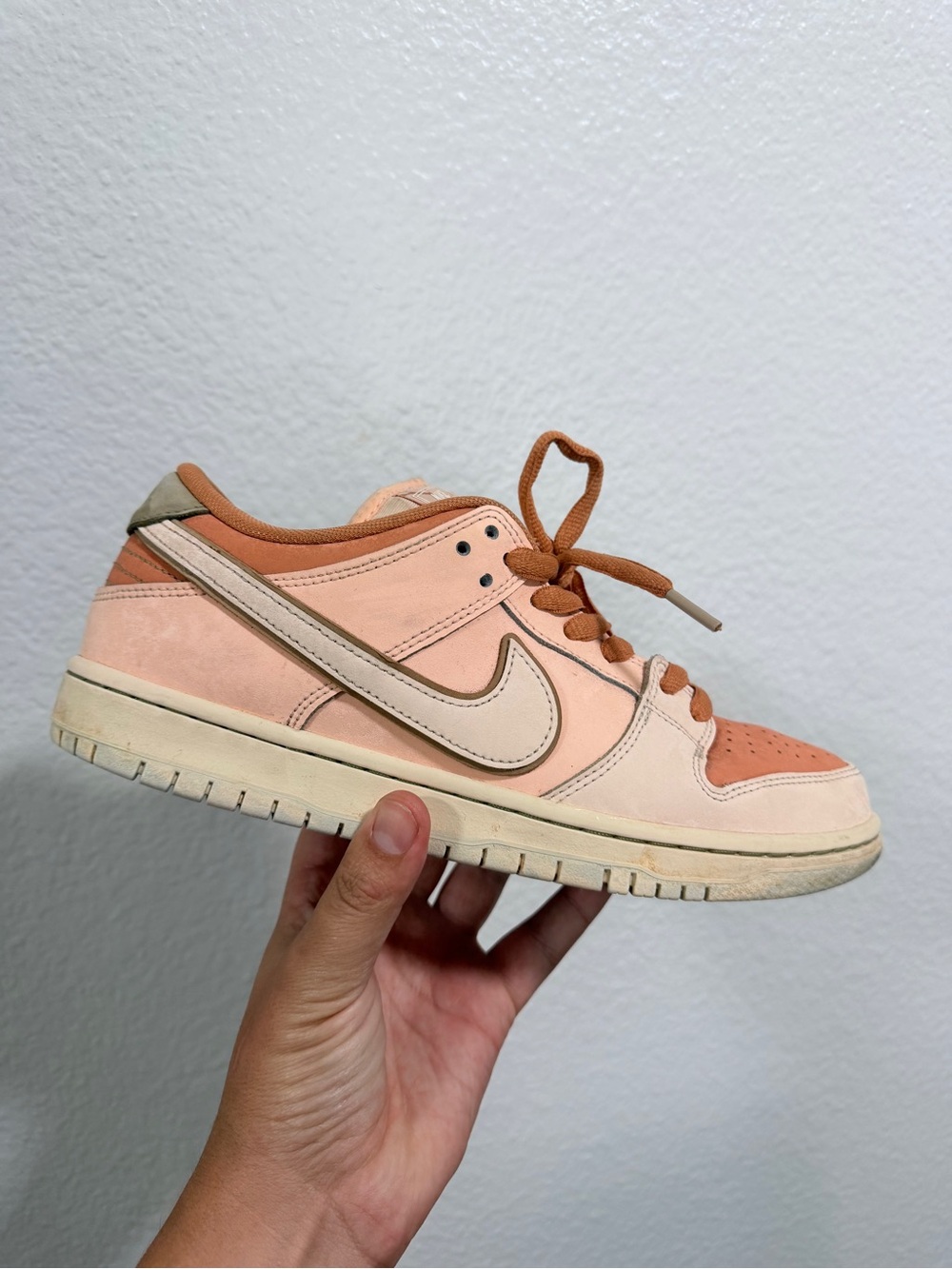 Nike dunk low sb pro coral